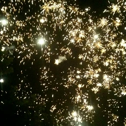 wppsparklers goldengalaxy fireworksagainstanightsky goldendaisiesentertaining